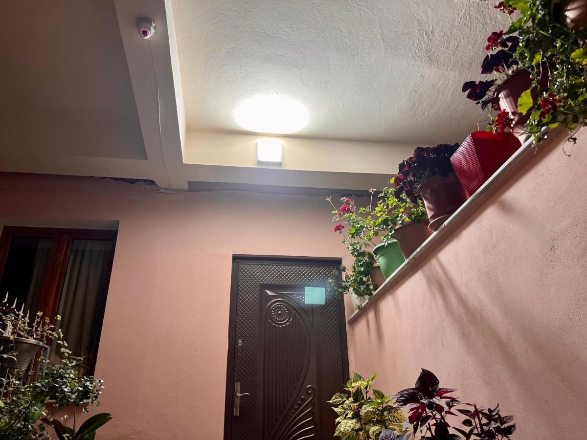 Villa Ensalv Berat - Apartment - Room - Penthouse Екстериор снимка