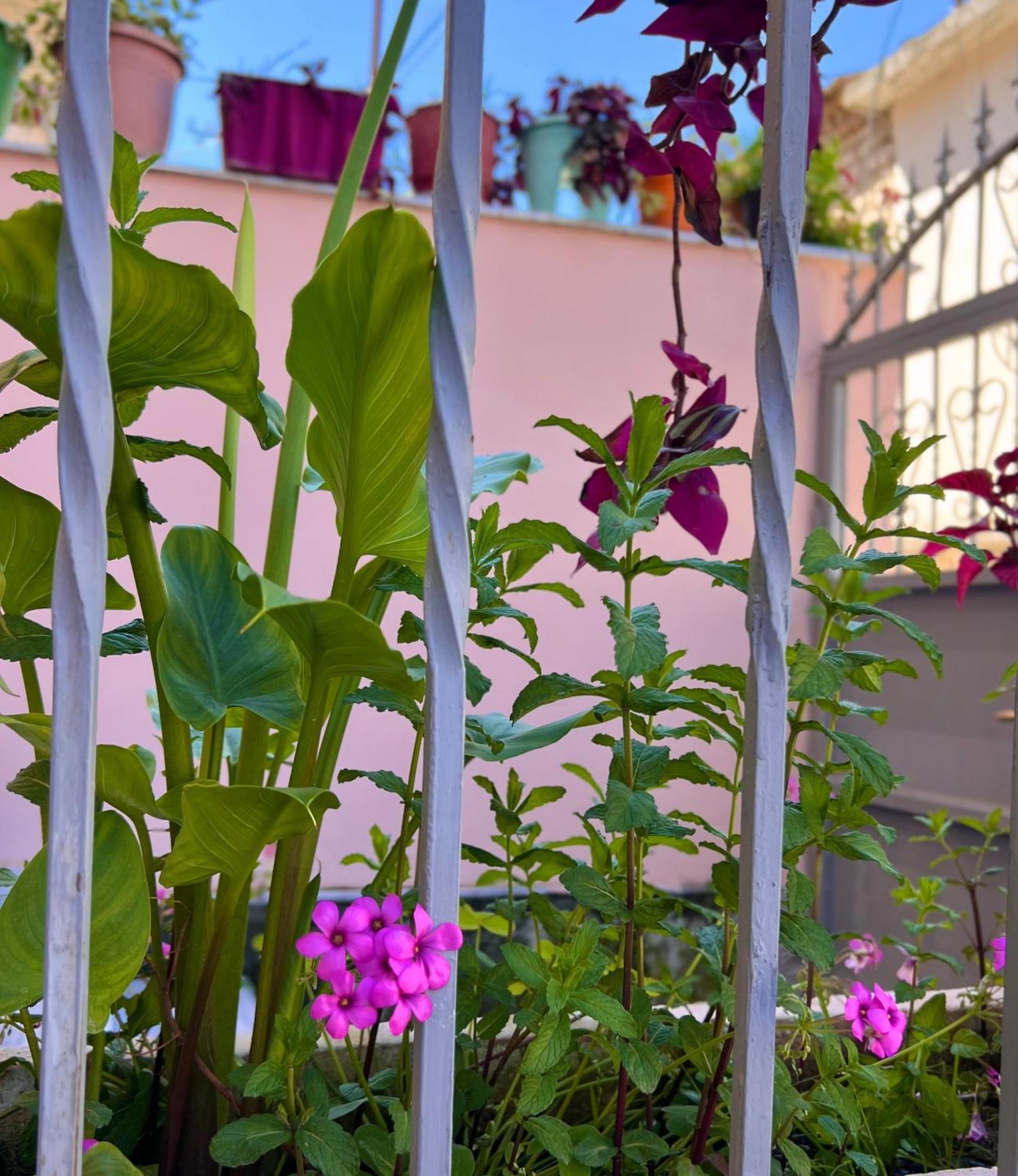 Villa Ensalv Berat - Apartment - Room - Penthouse Екстериор снимка